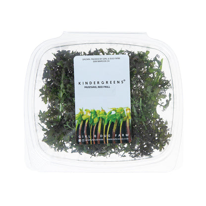 Wholesale Girl & Dug Farm KinderGreens® Red Frill Mustard- Bulk