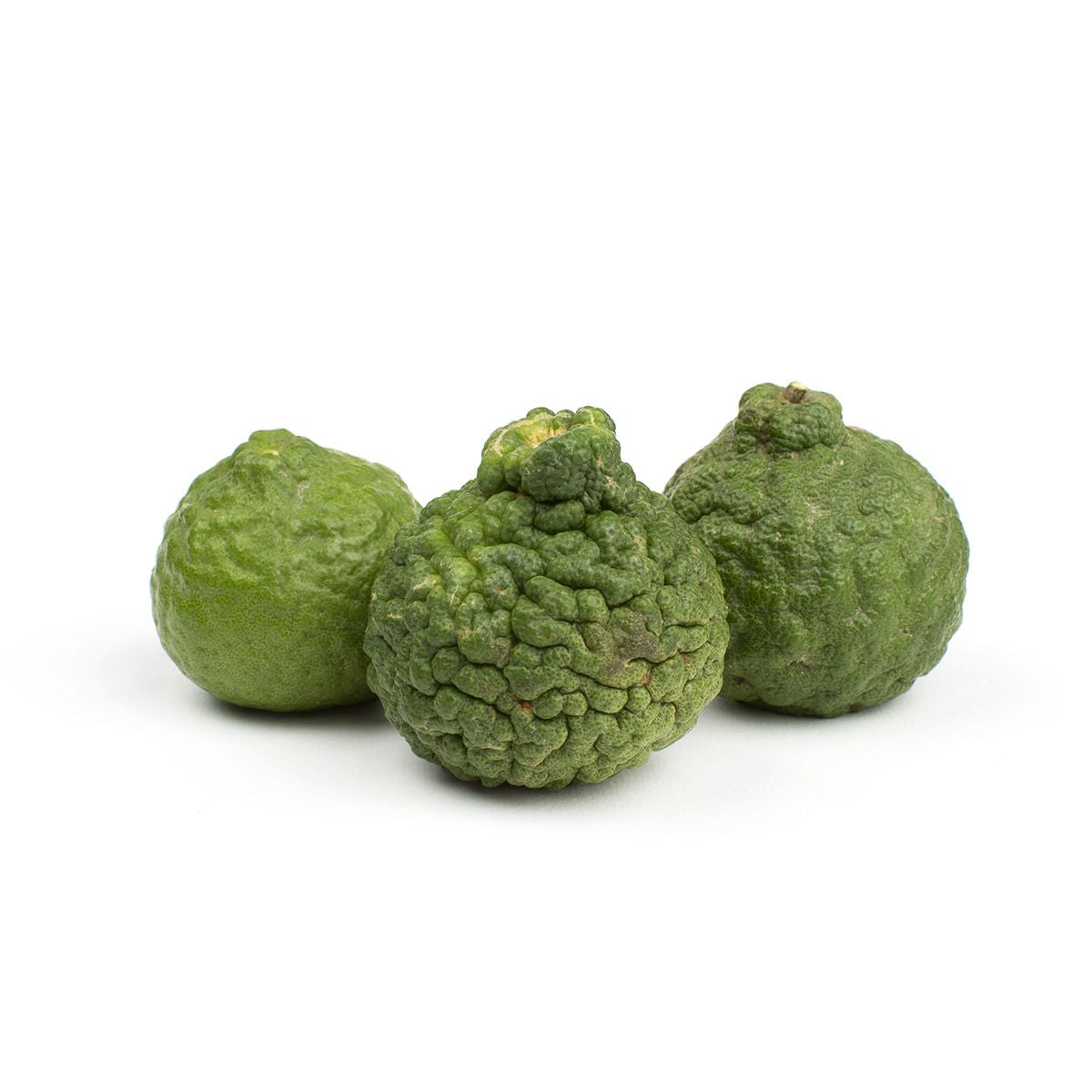 Wholesale BoxNCase Makrut (Kaffir) Limes-10 LB Bulk