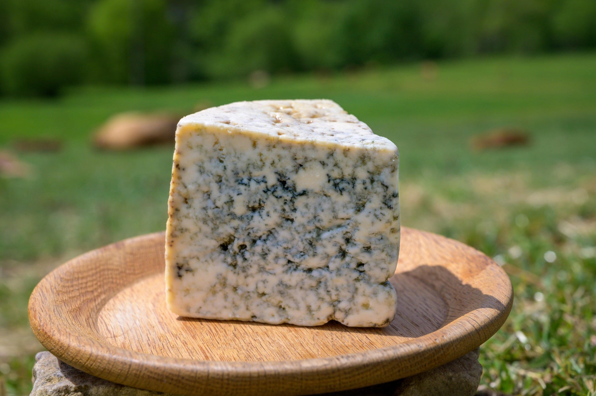 Wholesale Spanish Blue Cheese Importers Cabrales 6 Pound- Bulk