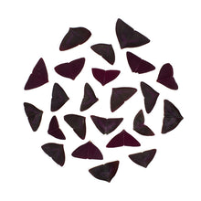 Wholesale Koppert Cress Yka/Butterfly Leaves- Bulk