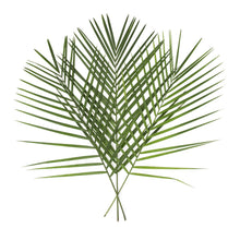 BoxNCase Decorative Tee Pee Leaves