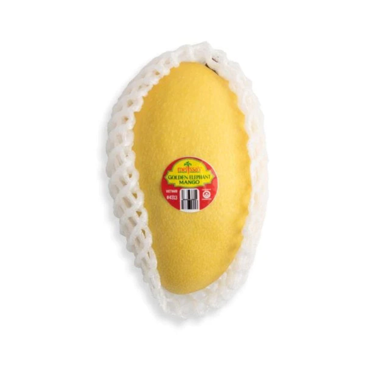 Wholesale BoxNCase Golden Elephant Mango- Bulk