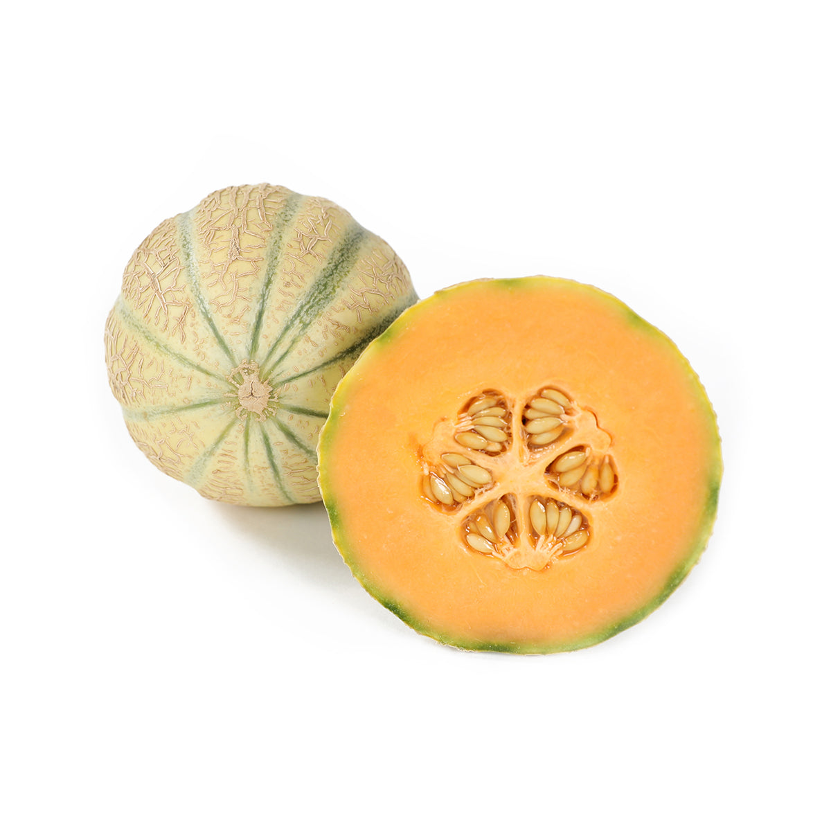 Wholesale BoxNCase Cavaillon Melons-5-6 CT Bulk