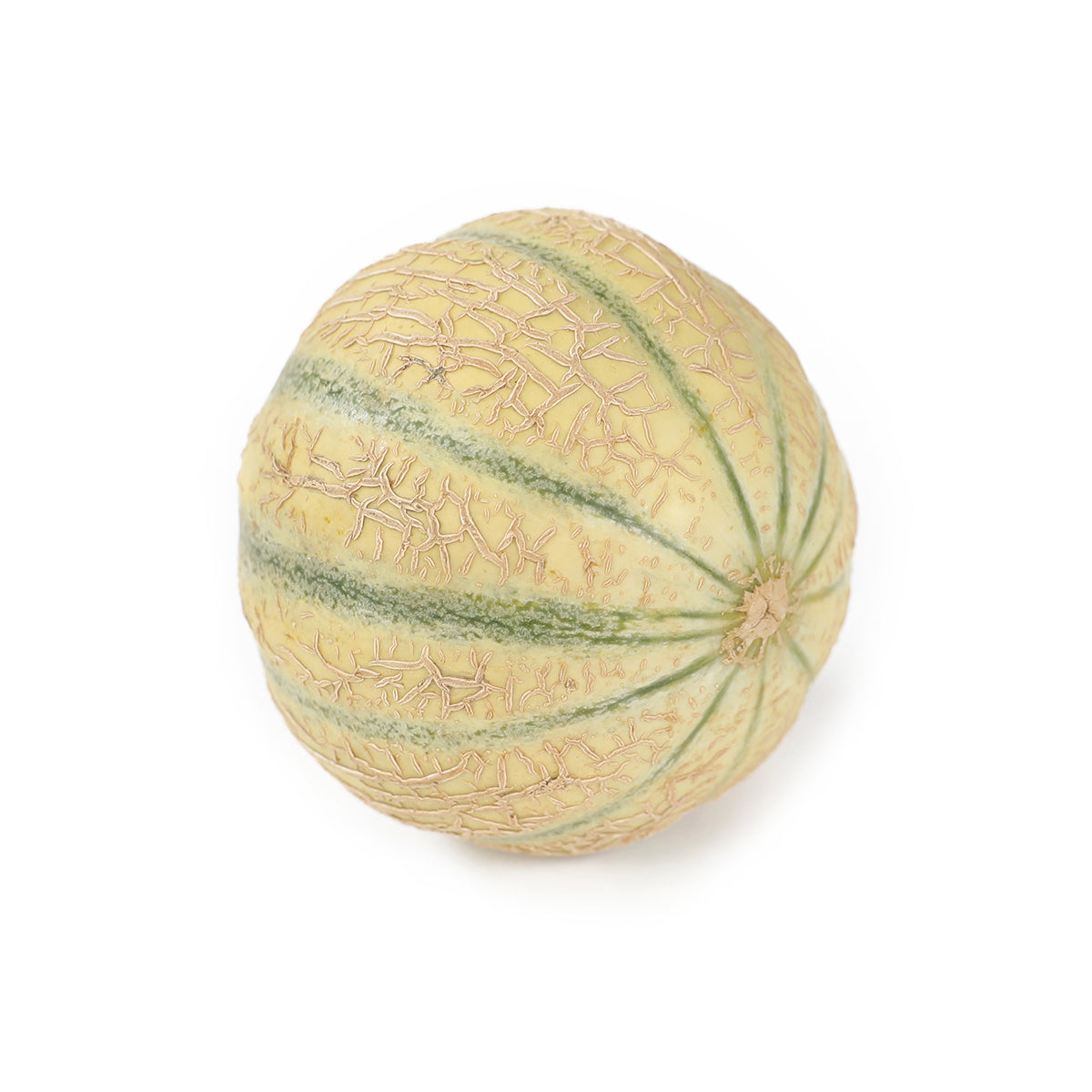 Wholesale BoxNCase Cavaillon Melons-5-6 CT Bulk