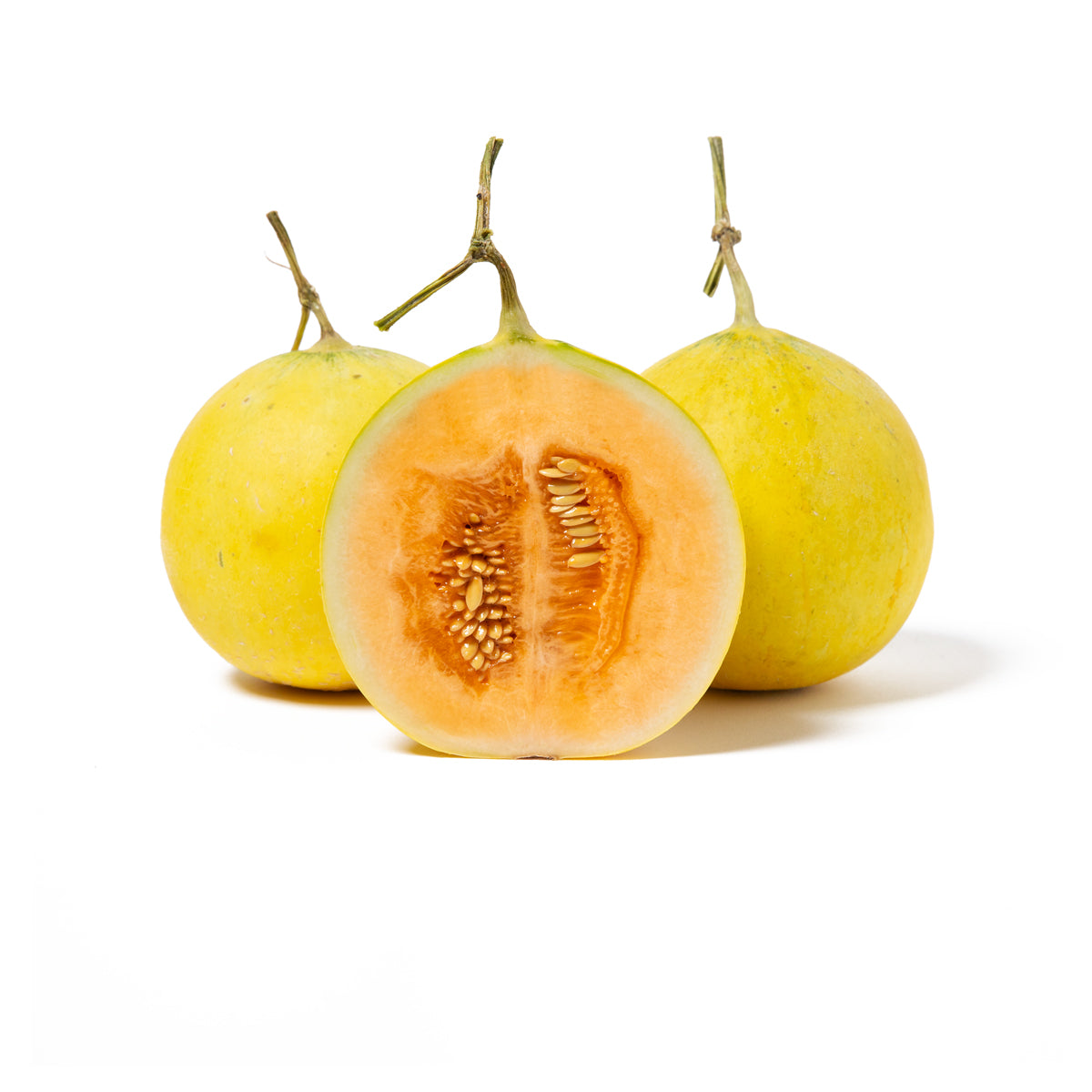 Wholesale Sunset Mini Kawaii Melons- Bulk