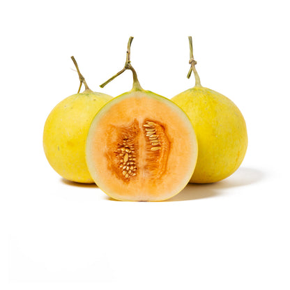 Wholesale Sunset Mini Kawaii Melons- Bulk