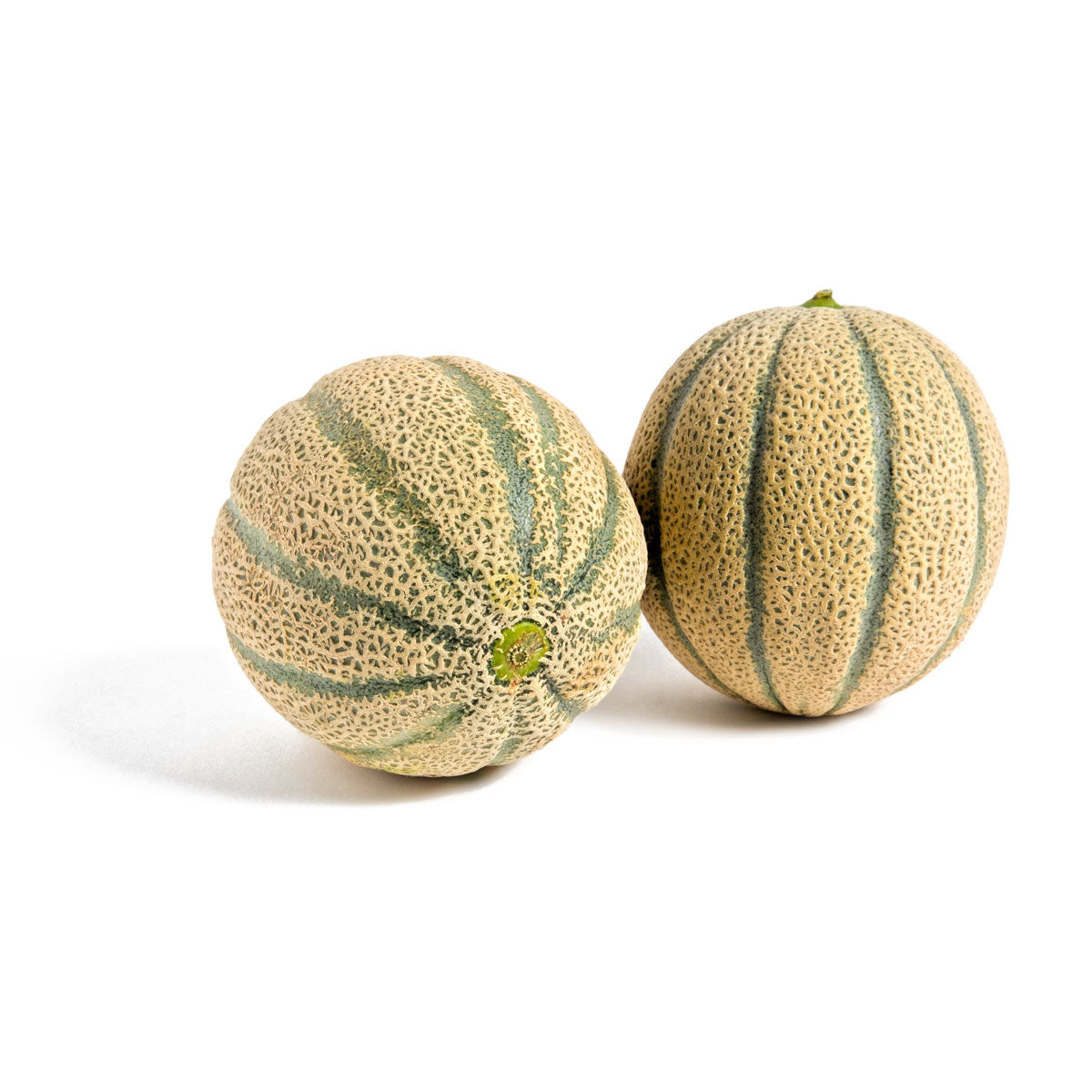 Wholesale Dulcinea Farms Tuscan Cantaloupe Melons- Bulk