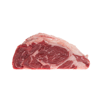 Wholesale Demkota Ranch Beef High Choice Ribeye Roast- Bulk