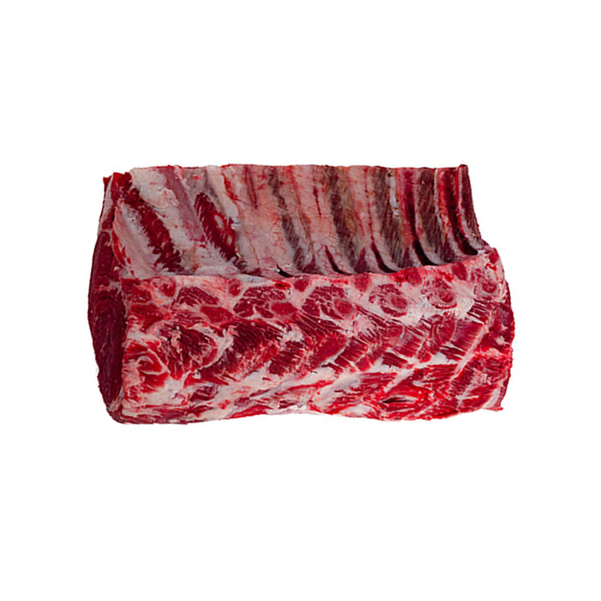Wholesale BoxNCase Prime Export Rib- Bulk