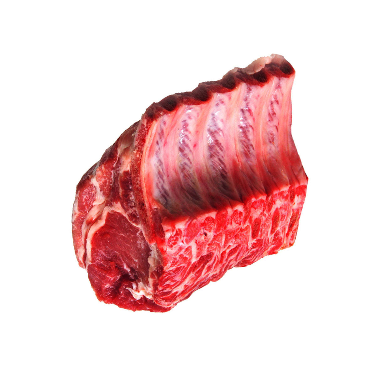 Wholesale Demkota Ranch Beef Prime Beef 109 Export Rib- Bulk