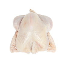 Wholesale Koch'S Turkey ABF Whole Turkey 14-16 LB- Bulk