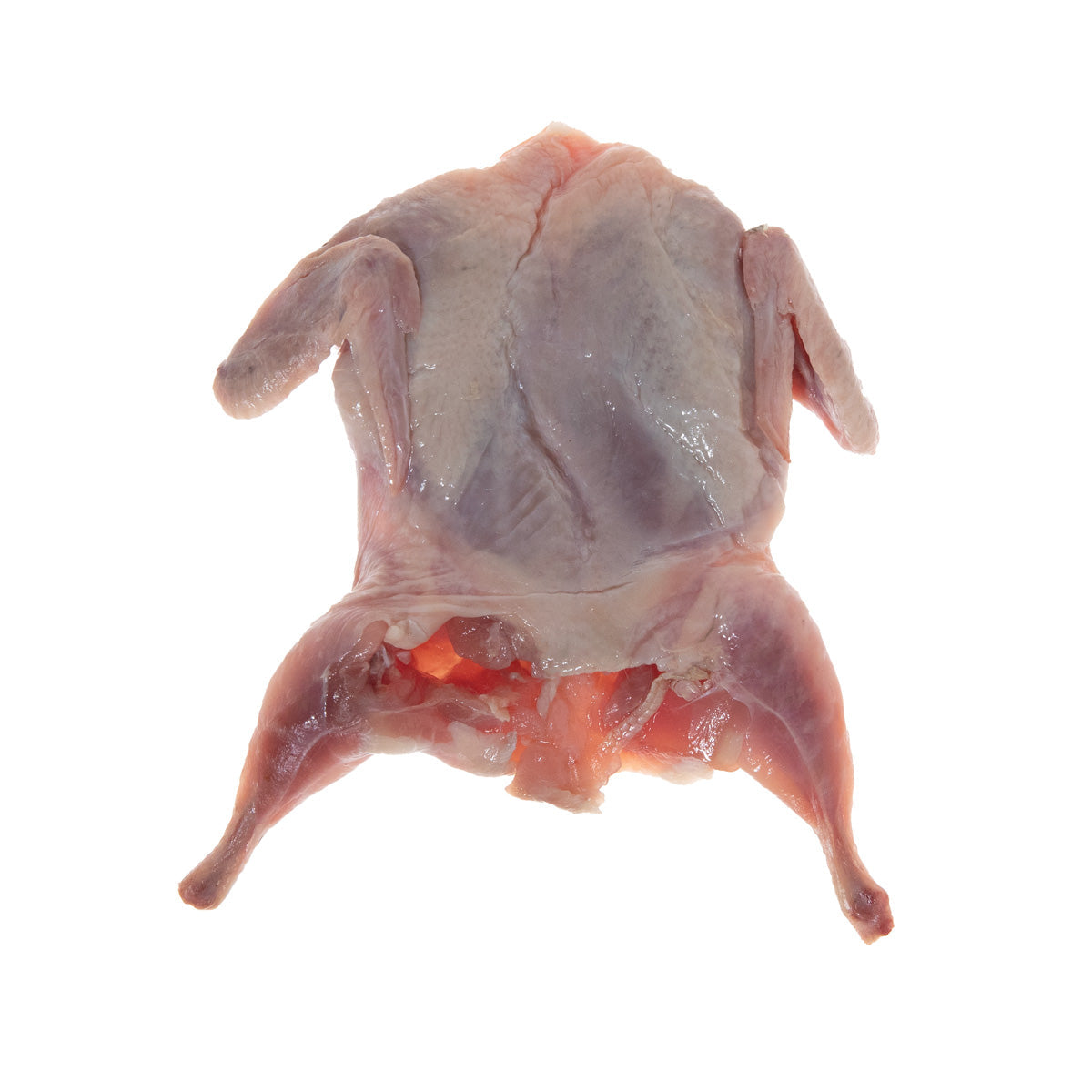 Manchester Quail Frozen Semi Boneless Quail 4 OZ