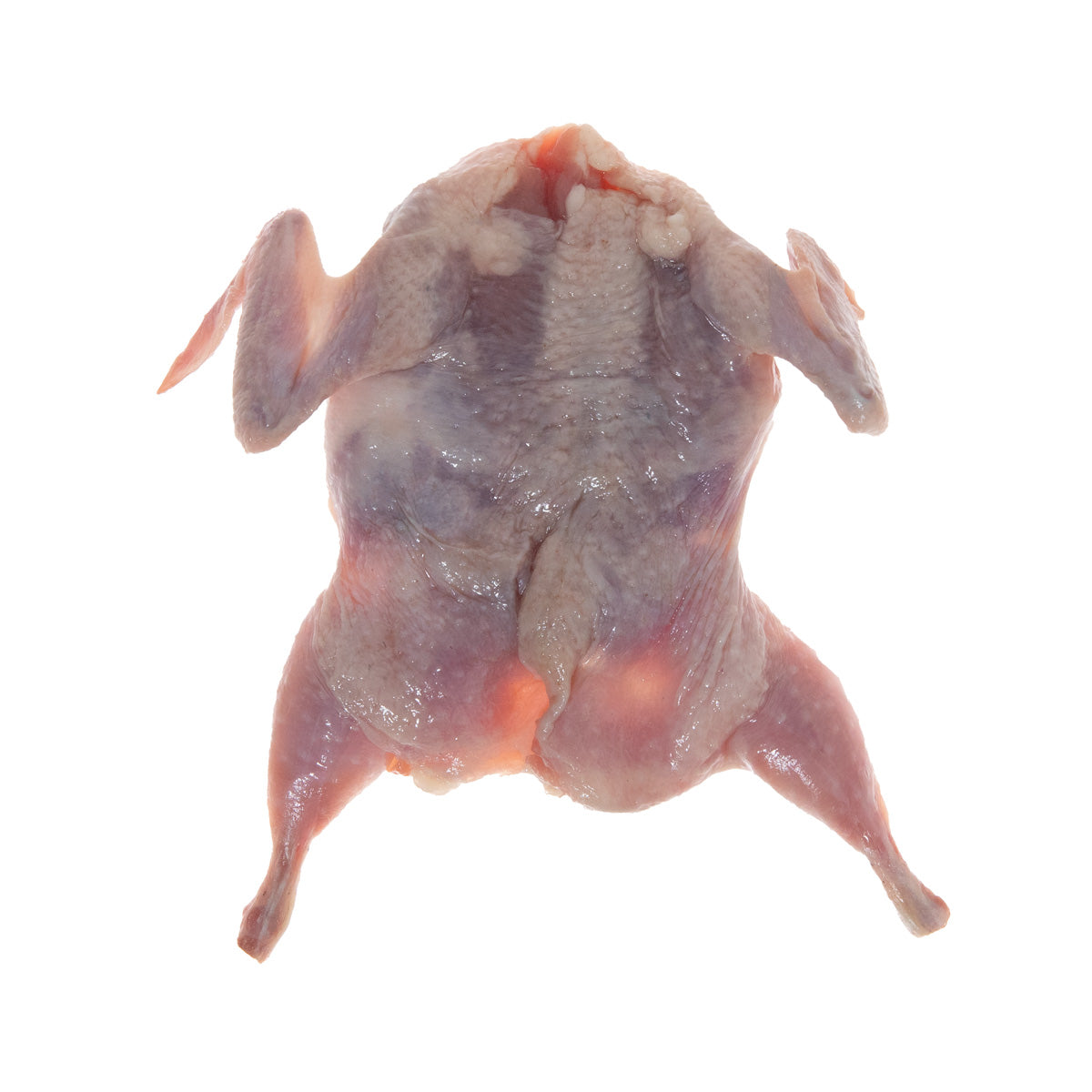 Manchester Quail Frozen Semi Boneless Quail 4 OZ