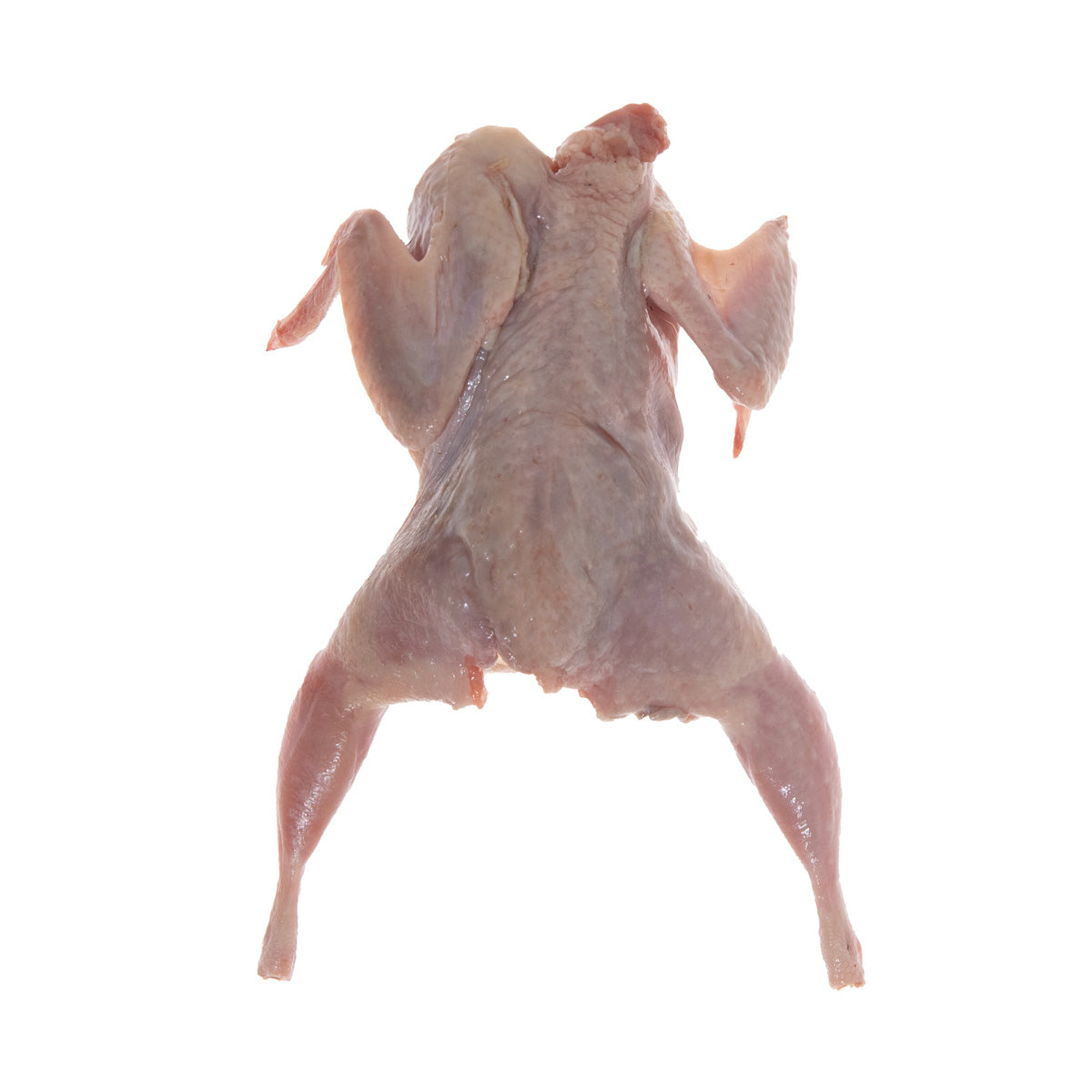 Manchester Quail Frozen Whole Quail 4 OZ