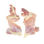 Wholesale Senat Poultry ABF Halal Boneless Skinless Chicken Thighs- Bulk