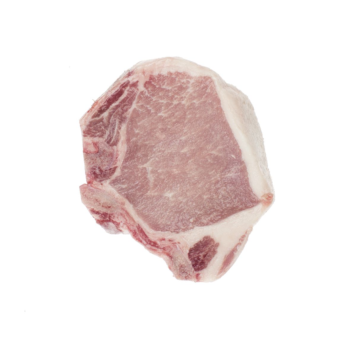 Wholesale Compart Family Farms Frozen Dry Aged Pork Rib Chop 12 OZ- Bulk
