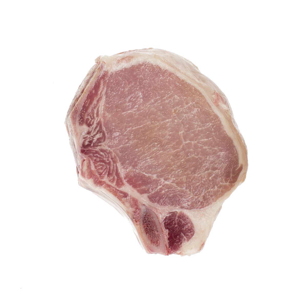 Compart Family Farms Frozen Dry Aged Pork Rib Chop 14 OZ