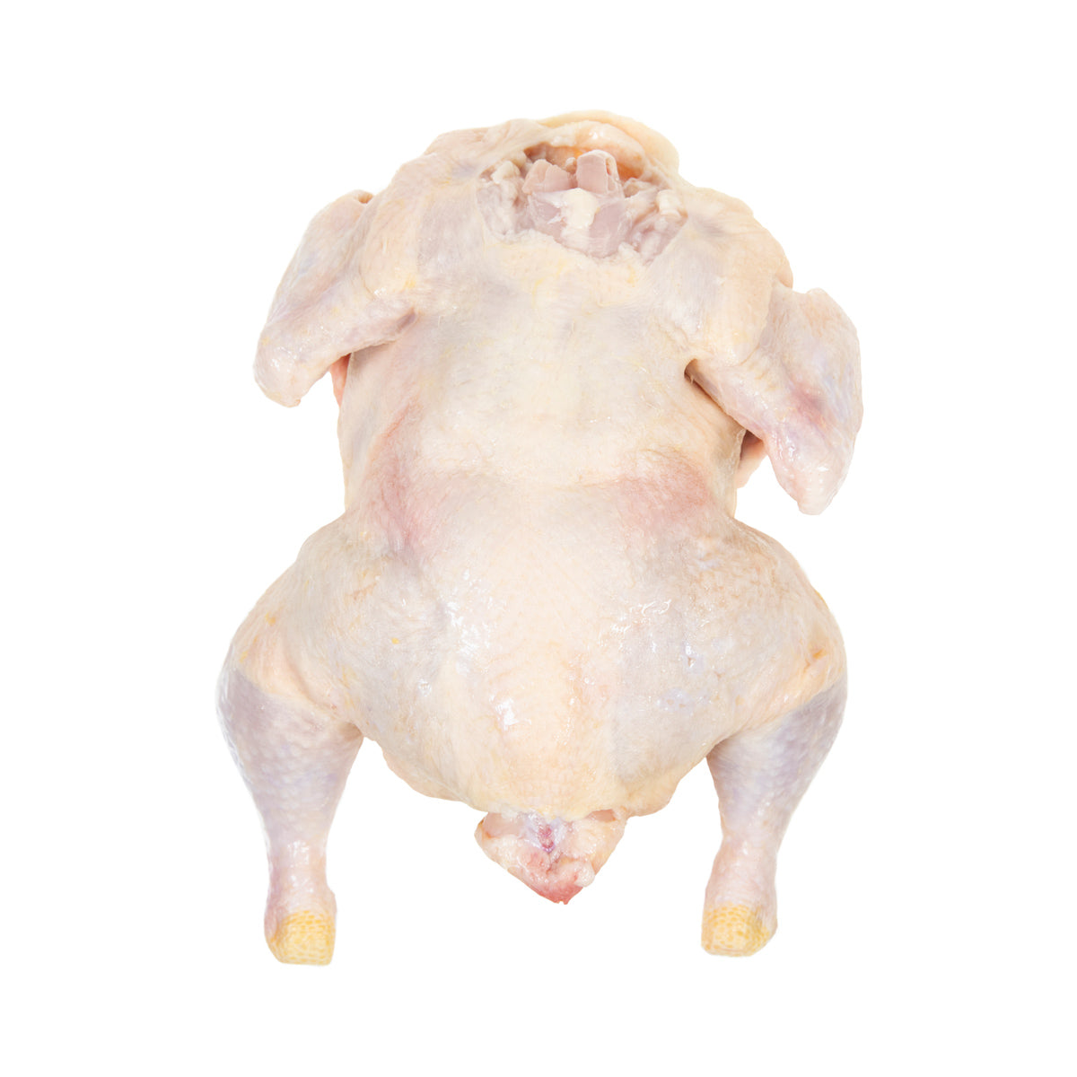 Mountaire Farms Whole Chicken No Giblets 3 LB