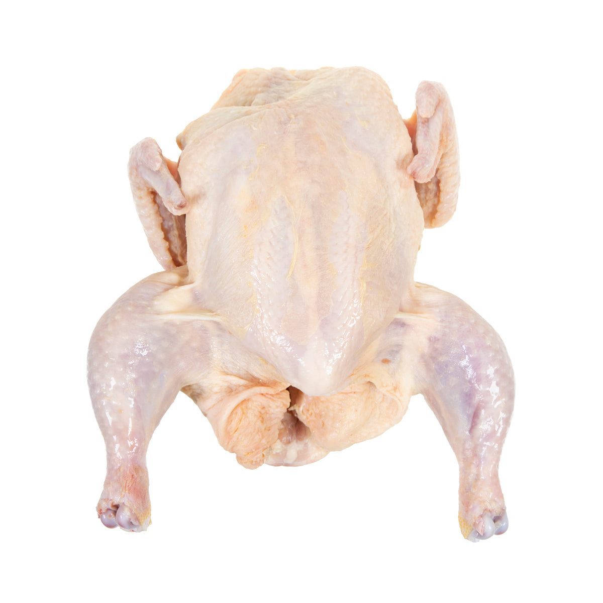 Tyson All Natural Fresh Premium Young Whole Chicken 6.5lb 12ct