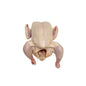 Wholesale La Belle Farm Air Chilled Whole Chickens 3.25 Lbs- Bulk