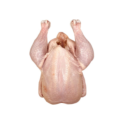 Wholesale La Belle Farm Organic Air-Chilled Whole Chickens 3 LB- Bulk