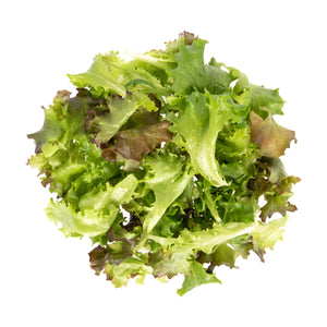 Wholesale Little Leaf Farms Mesclun Spring Mix-3 LB Bulk