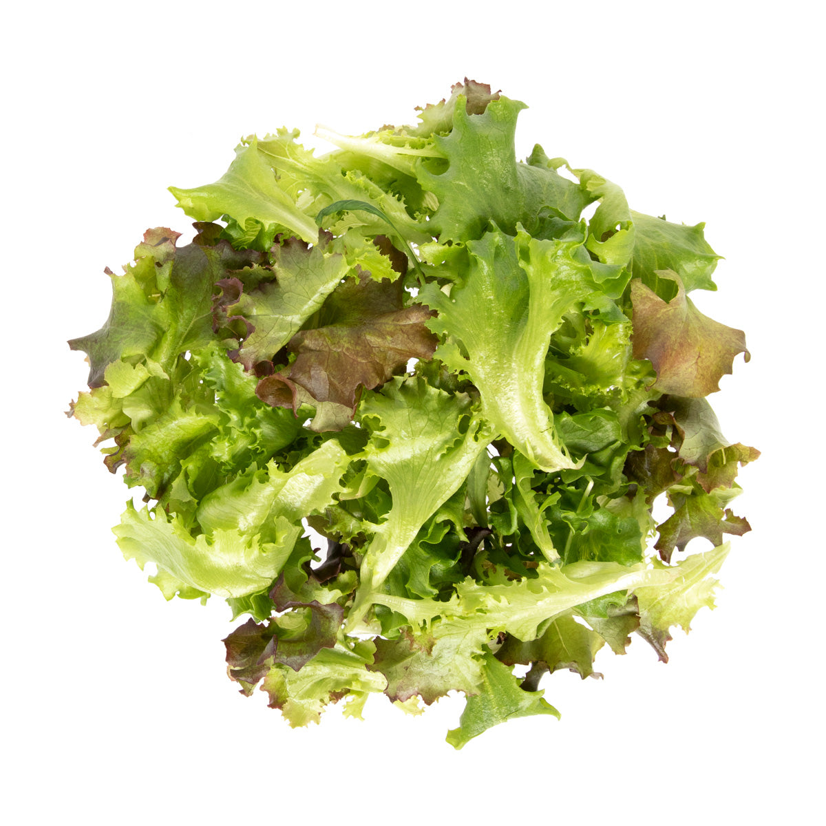 Wholesale Little Leaf Farms Mesclun 2 LB-6ct Case Bulk