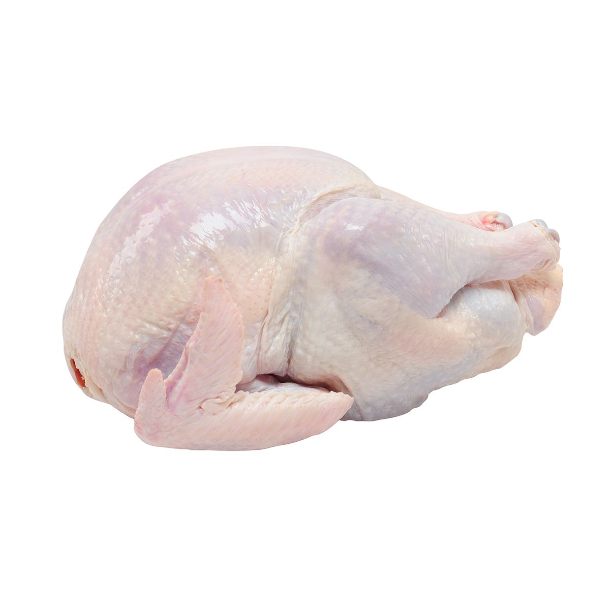 Wholesale Joyce Farms ABF Naked Whole Turkey 16-18 LB-40 LB 2 PC Bulk