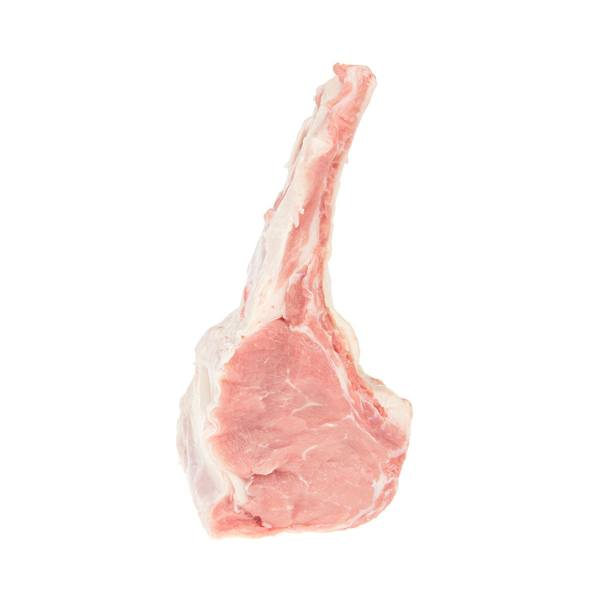 Wholesale Atlantic Veal & Lamb Rack of Veal- Bulk