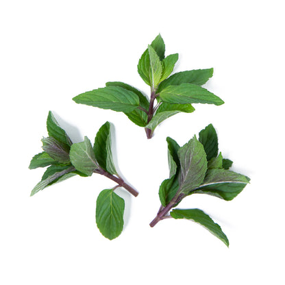 Wholesale Girl & Dug Farm Chocolate Mint- Bulk