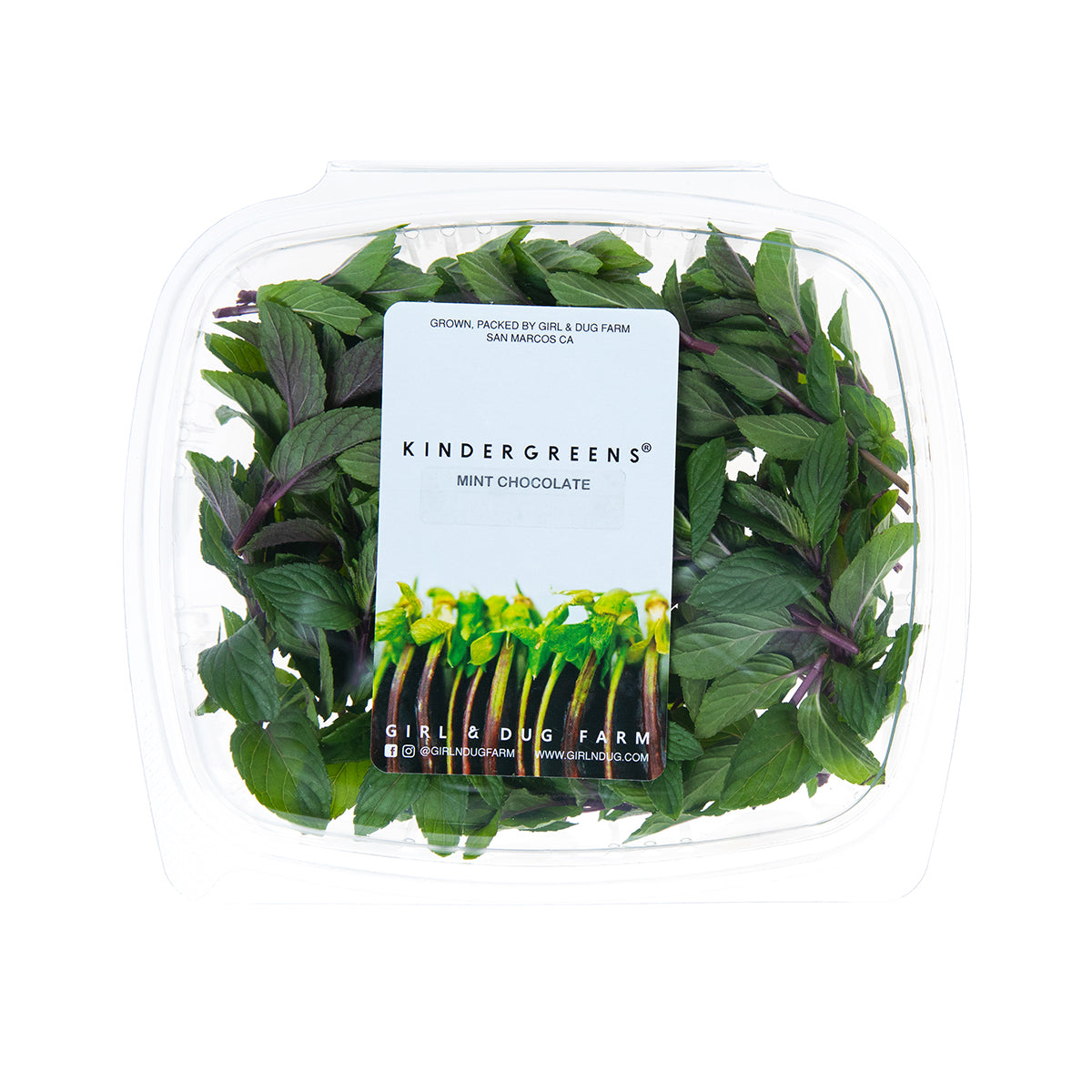 Wholesale Girl & Dug Farm Chocolate Mint- Bulk