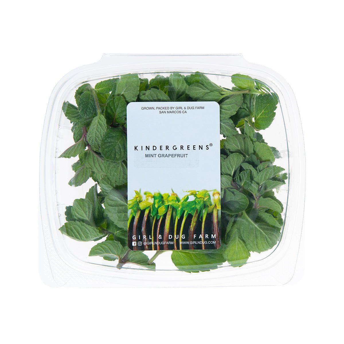 Wholesale Girl & Dug Farm Grapefruit Mint- Bulk