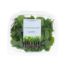 Wholesale Girl & Dug Farm Orange Mint- Bulk