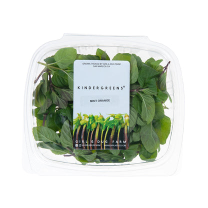 Wholesale Girl & Dug Farm Orange Mint- Bulk