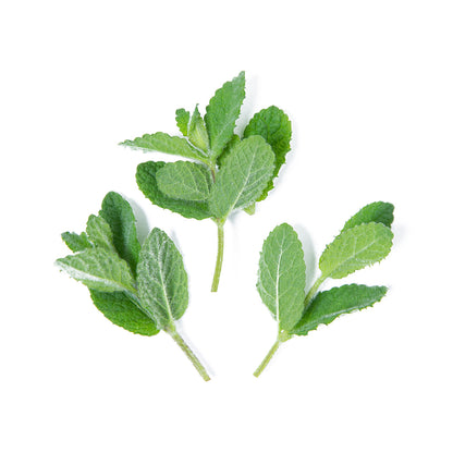 Wholesale Girl & Dug Farm Pineapple Mint-2 OZ Bulk