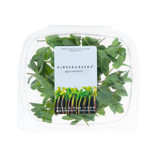 Wholesale Girl & Dug Farm Pineapple Mint- Bulk