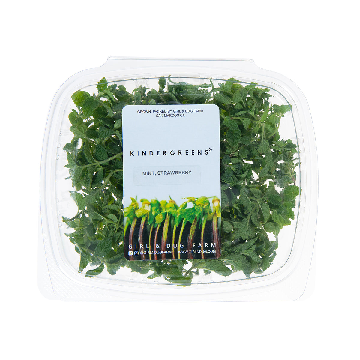 Wholesale Girl & Dug Farm Strawberry Mint- Bulk