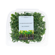 Wholesale Girl & Dug Farm Strawberry Mint- Bulk