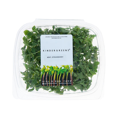 Wholesale Girl & Dug Farm Strawberry Mint- Bulk