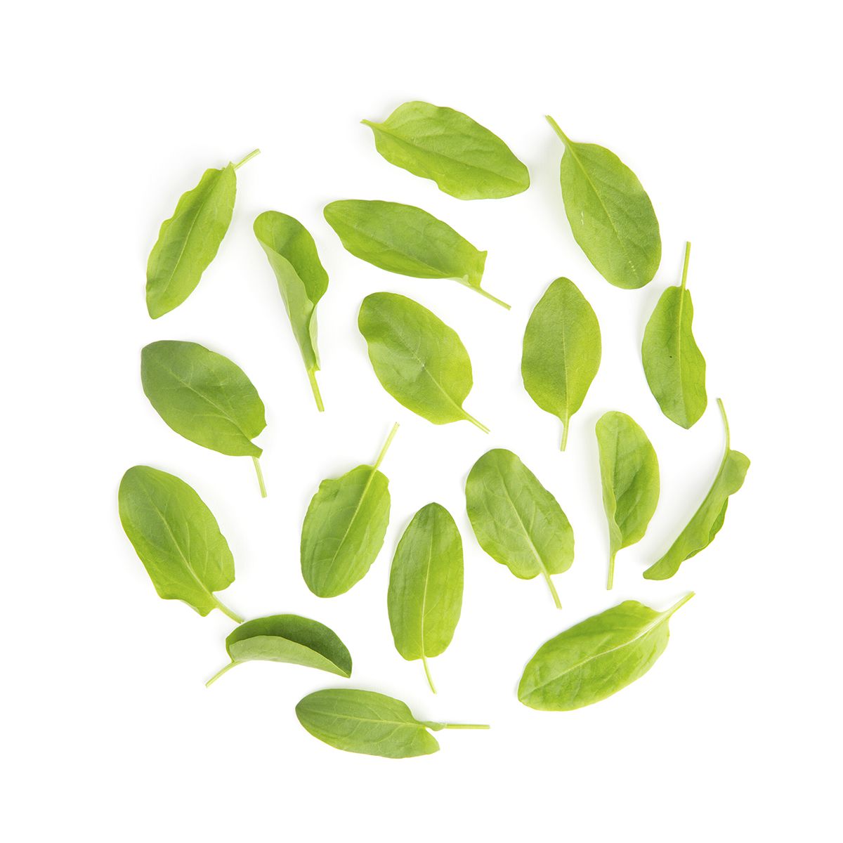 Wholesale Fresh Origins Micro Sorrel- Bulk