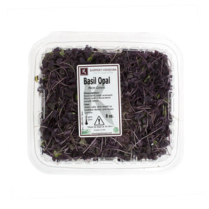 Wholesale BoxNCase Micro Red Basil-8 OZ Bulk