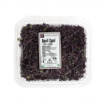 Wholesale BoxNCase Micro Red Basil-8 OZ Bulk
