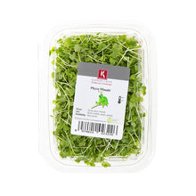 Wholesale Koppert Cress Micro Wasabi- Bulk