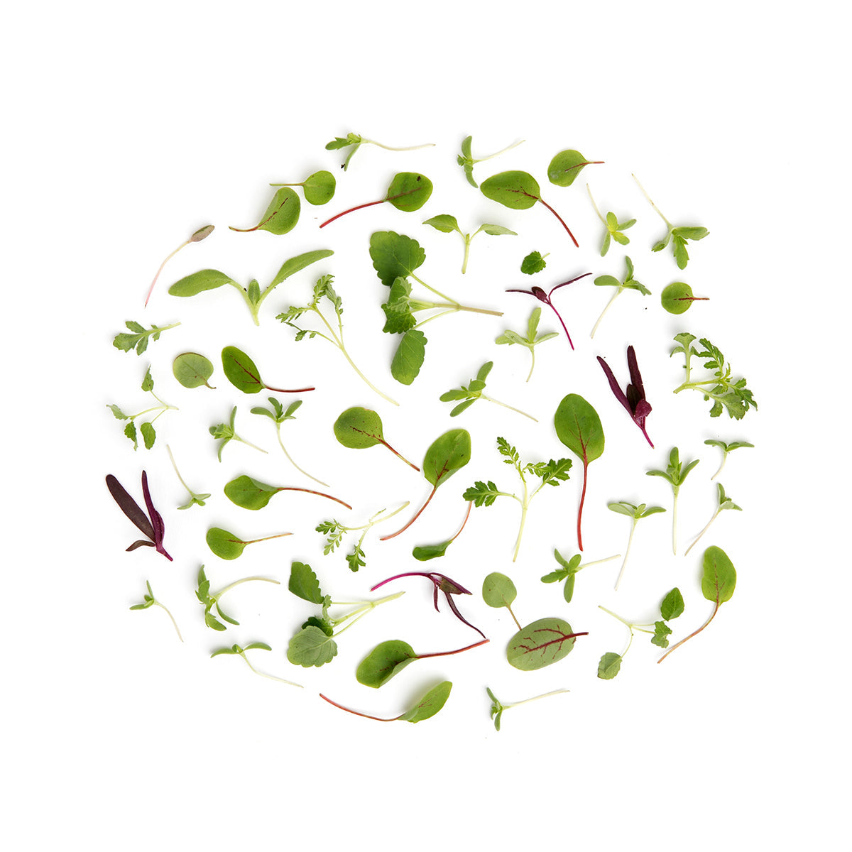 Wholesale Fresh Origins Citrus Mix- Bulk