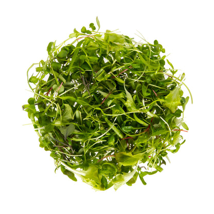 Wholesale Gilbertie'S Organic Micro Pete's Super Green Blend- Bulk