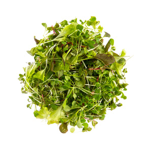 Wholesale Gilbertie'S Organic Micro Sal's Mesclun Blend-8 OZ Bulk