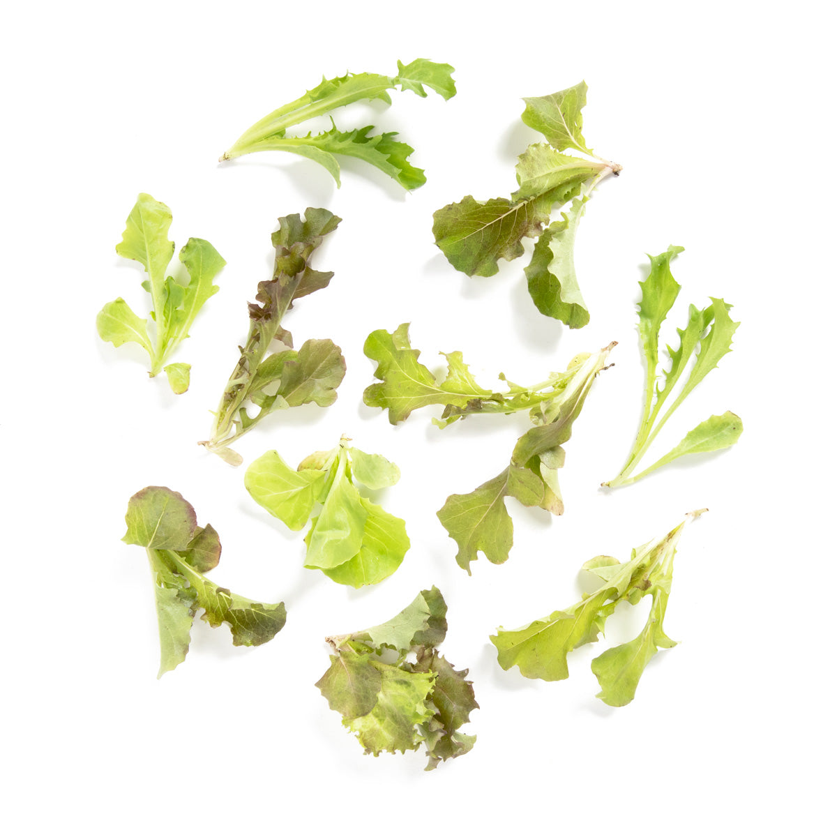 Fresh Origins Mini Mix Lettuce