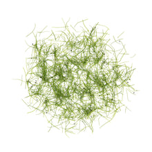 Wholesale Koppert Cress Micro Chives- Bulk