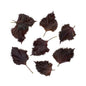 Wholesale BoxNCase Red Shiso Leaves- Bulk