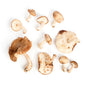 Wholesale BoxNCase Organic Shiitake Mushrooms-3 LB Bulk